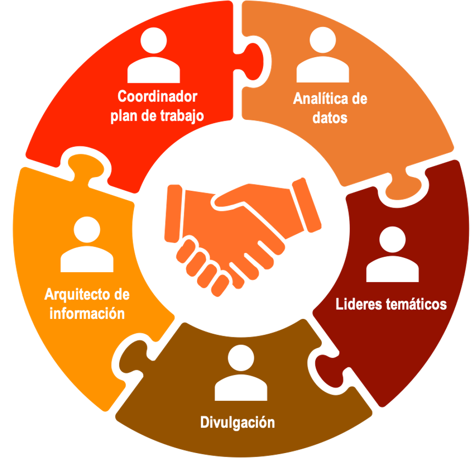 Estructura graficada del equipo de trabajo del observatorio