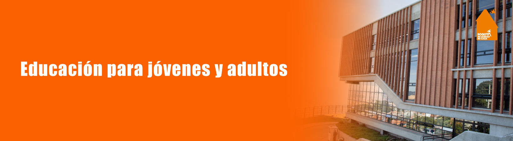 Educación para jóvenes y adultos